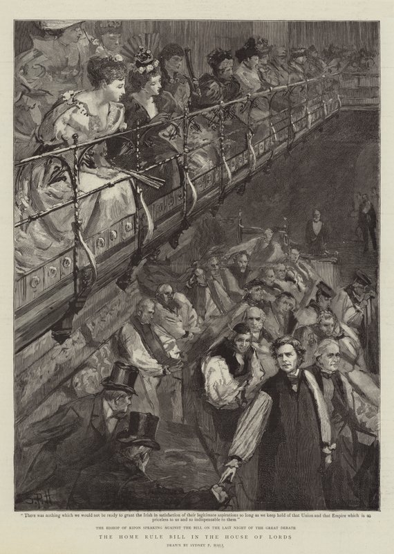 Il disegno di legge sull