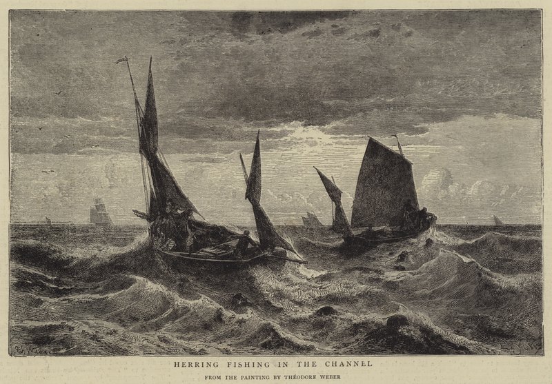 Pesca delle aringhe nel canale da Theodore Weber