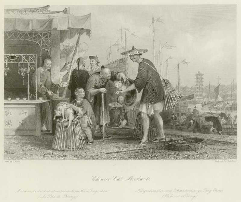 Mercanti di gatti cinesi da Thomas Allom