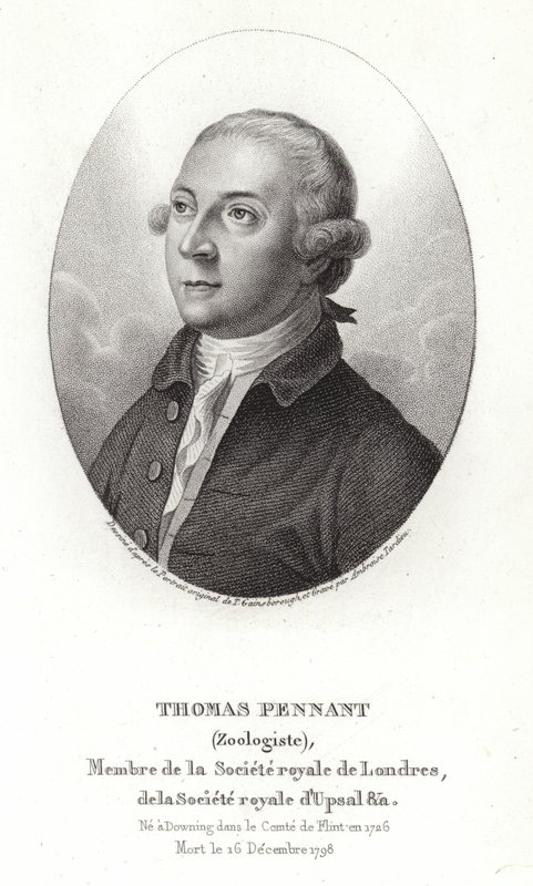 Thomas Pennant da Thomas Gainsborough
