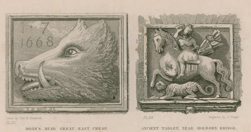 Testa di cinghiale e antica tavoletta da Thomas Hosmer Shepherd