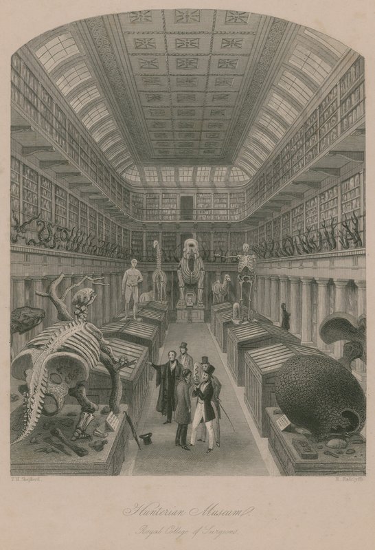 Museo Hunterian, Royal College of Surgeons, Londra da Thomas Hosmer Shepherd