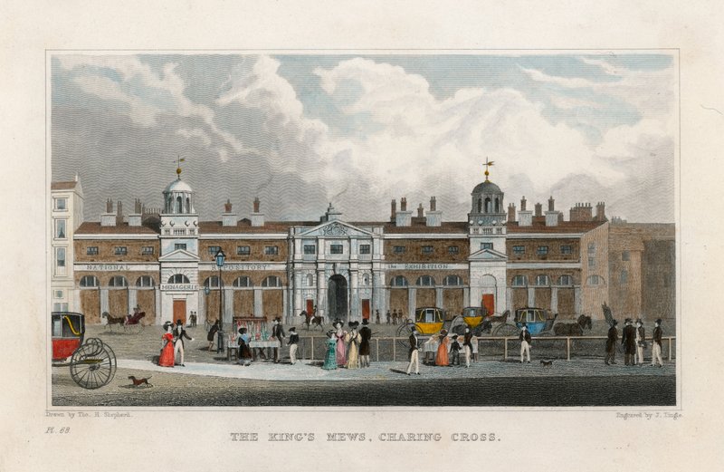 Le Scuderie Reali, Charing Cross. Casa temporanea del Menagerie di Edward Cross da Thomas Hosmer Shepherd