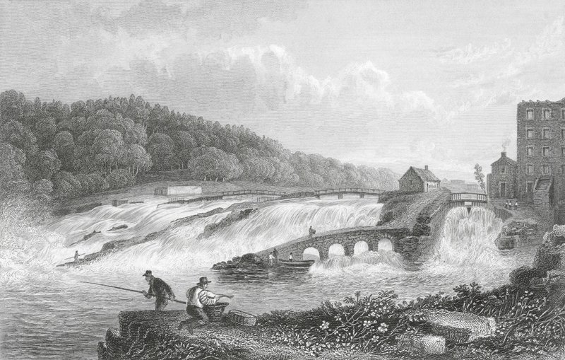 Il salto del salmone di Coleraine, Co Londonderry da Thomas Mann (after) Baynes