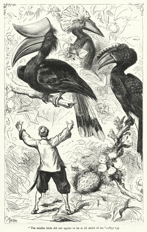 Illustrazione per I viaggi di Gulliver di Jonathan Swift (incisione) da Thomas Morten