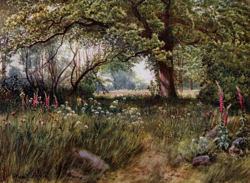Giardini di Kew: Nei giardini del cottage della regina da Thomas Mower Martin