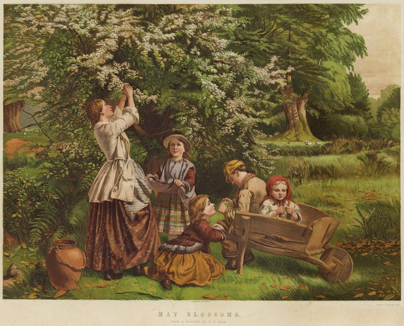 Fiori di maggio da Thomas P. Hall