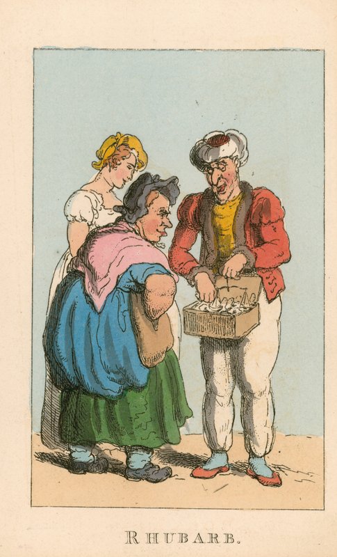 Rabarbaro da Thomas Rowlandson