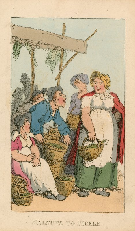 Noci da conservare da Thomas Rowlandson