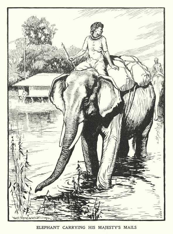 Elefante che trasporta la posta di Sua Maestà da Thomas Somerfield