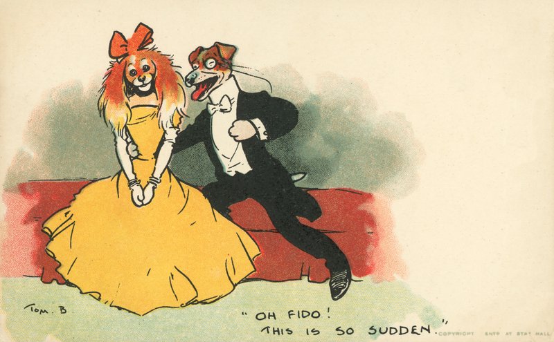 Cani vestiti come una coppia romantica da Tom Browne