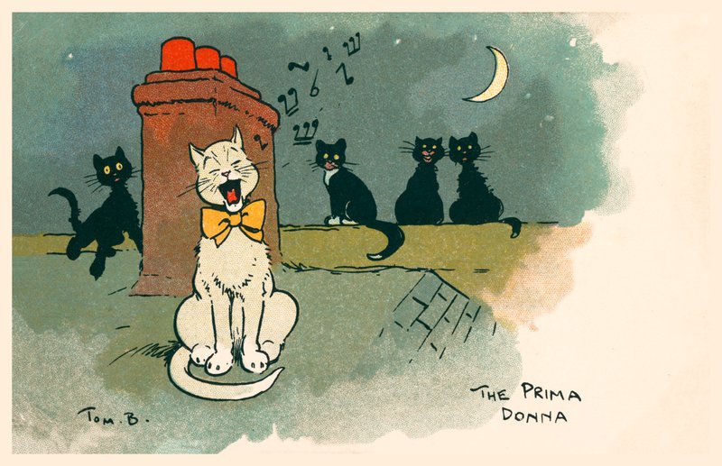 La Prima Donna da Tom Browne