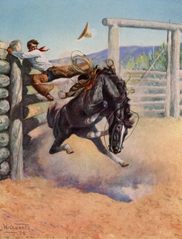 Smoky il cavallo da rodeo da Unbekannt Unbekannt