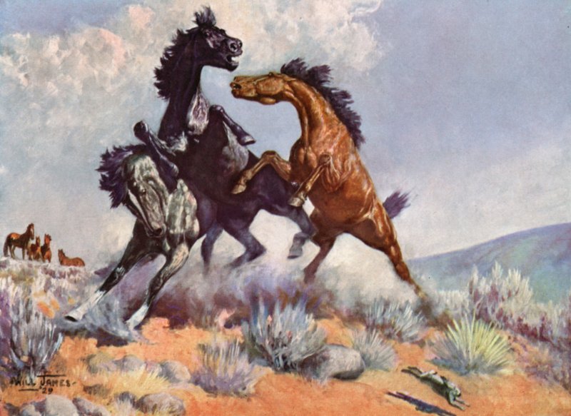 Smoky il cavallo da rodeo da Unbekannt Unbekannt