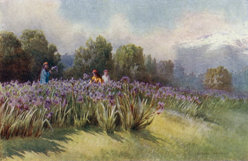 Primavera in Kashmir da Unbekannt Unbekannt