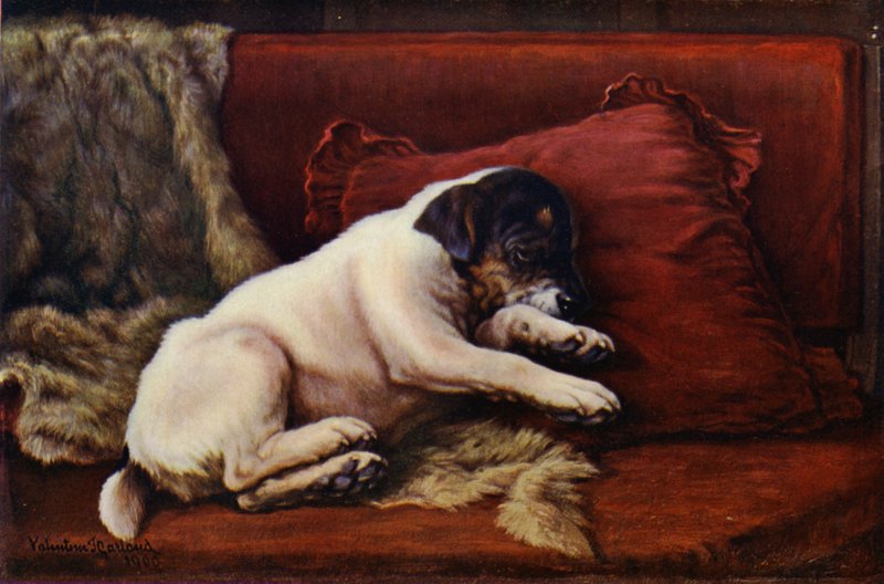 Un pisolino pomeridiano da Valentine Thomas Garland