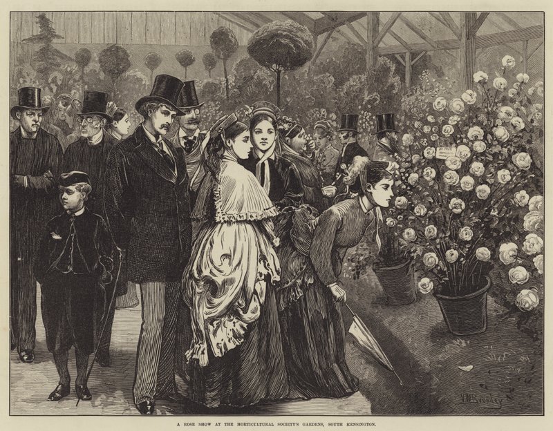 Mostra di rose nei giardini della Società Orticola, South Kensington da Valentine Walter Lewis Bromley