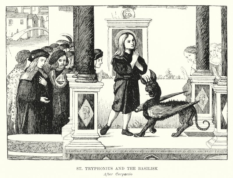 San Trifonio e il Basilisco (incisione) da Vittore (after) Carpaccio