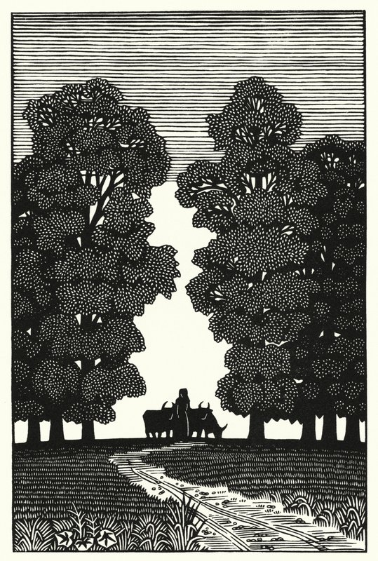 Illustrazione per Tess dei d