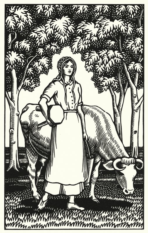 Illustrazione per Tess dei d
