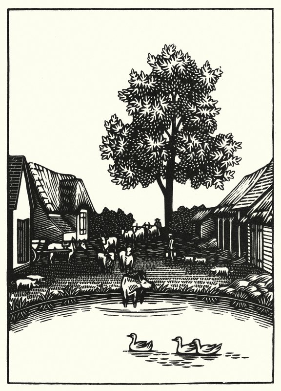 Illustrazione per Tess dei d