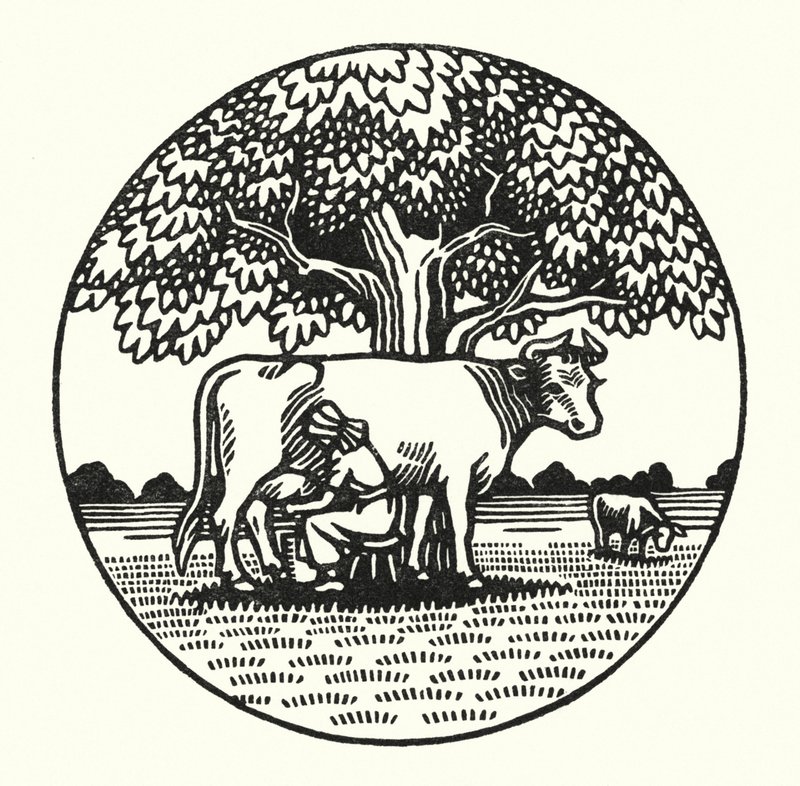 Illustrazione per Tess dei d
