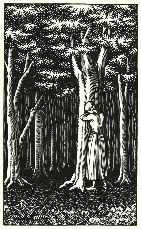 Illustrazione per Tess dei d