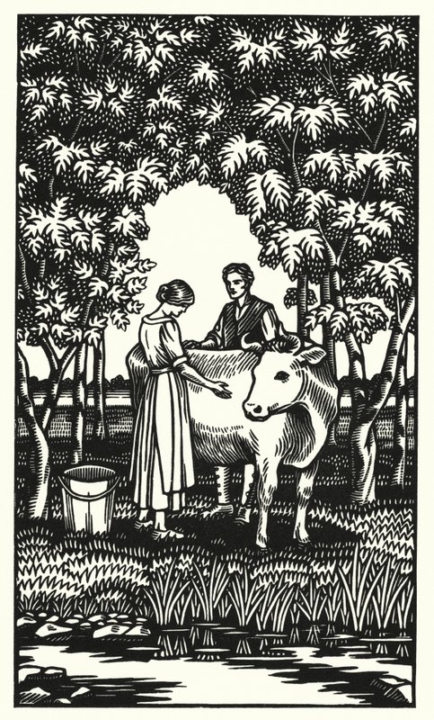 Illustrazione per Tess dei d