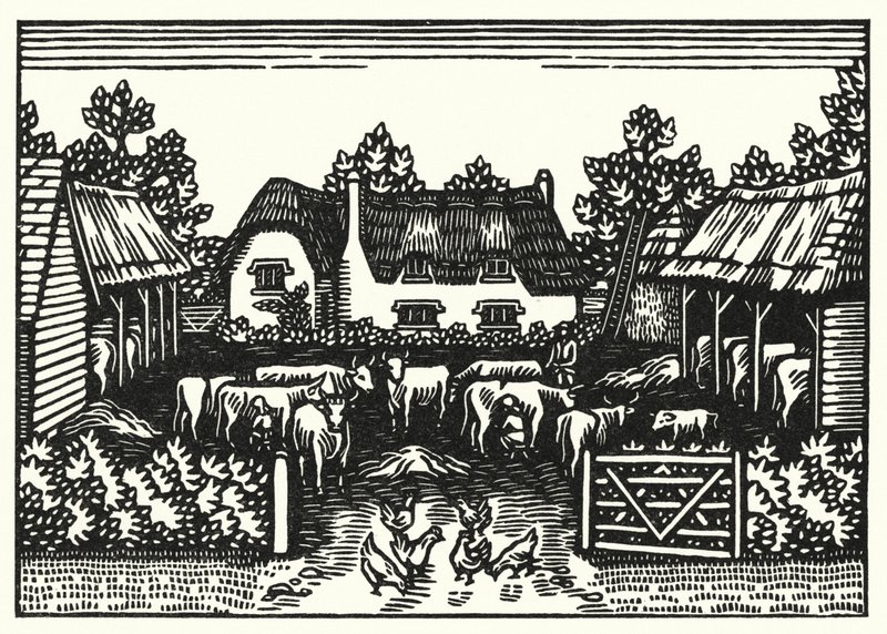 Illustrazione per Tess dei d