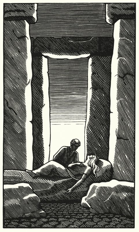 Illustrazione per Tess dei D