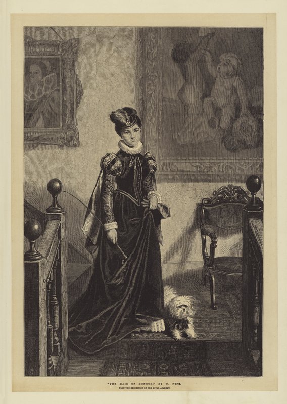 La damigella d