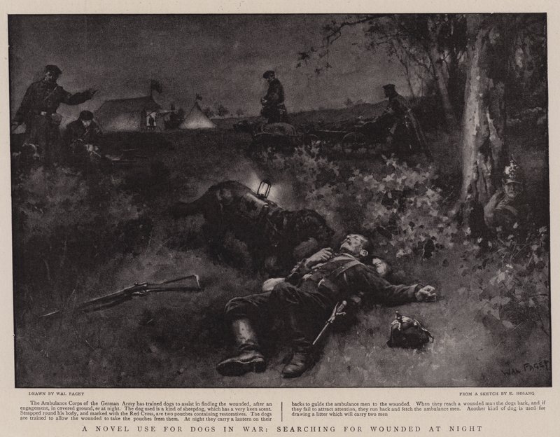 Un uso nuovo per i cani in guerra, alla ricerca dei feriti di notte da Walter Stanley Paget