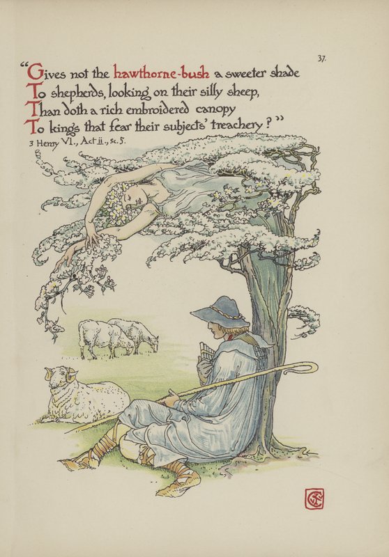 Fiori dal giardino di Shakespeare da Walter Crane