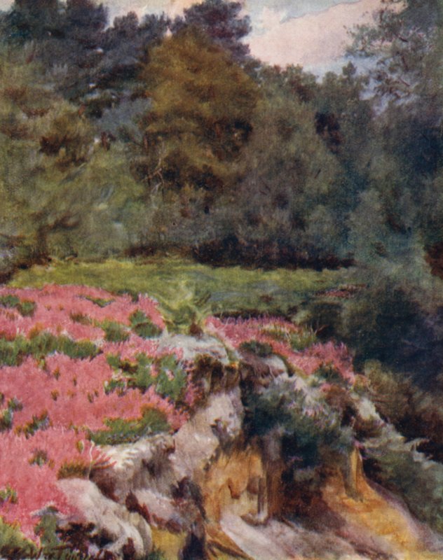 La Nuova Foresta: Una cava di ghiaia a Royden da Walter Frederick Roofe Tyndale