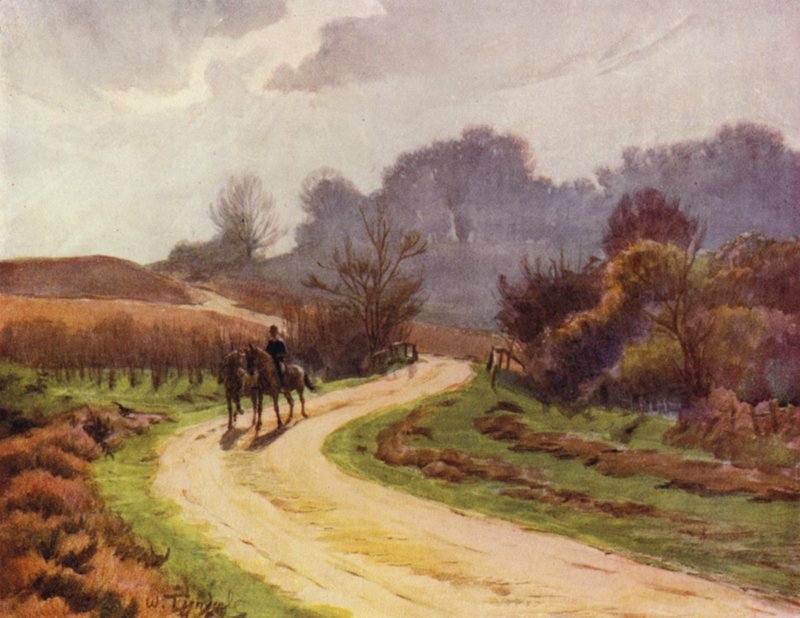 La Nuova Foresta: Beaulieu, Lyndhurst da Walter Frederick Roofe Tyndale