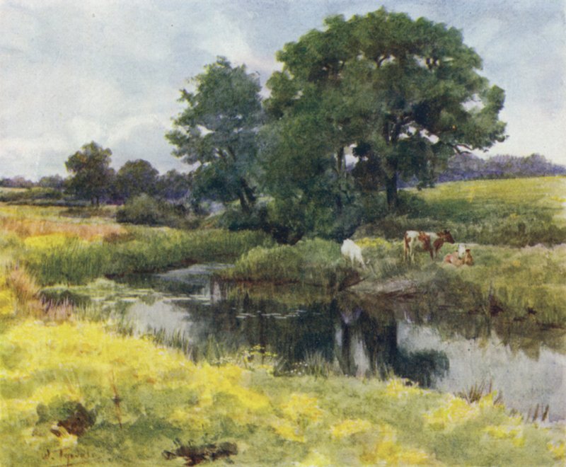 La Nuova Foresta: Sul fiume Lymington da Walter Frederick Roofe Tyndale