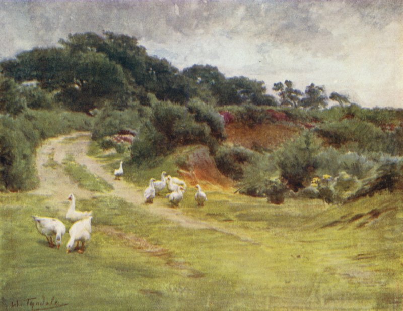 La Nuova Foresta: Royden Common, vicino a Brokenhurst da Walter Frederick Roofe Tyndale