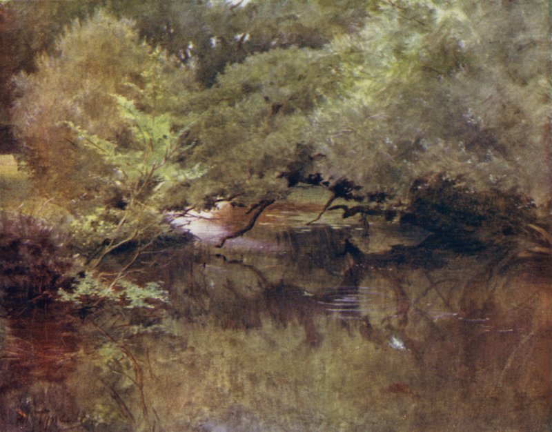 La Nuova Foresta: Il fiume Lymington a Royden, vicino a Boldre da Walter Frederick Roofe Tyndale