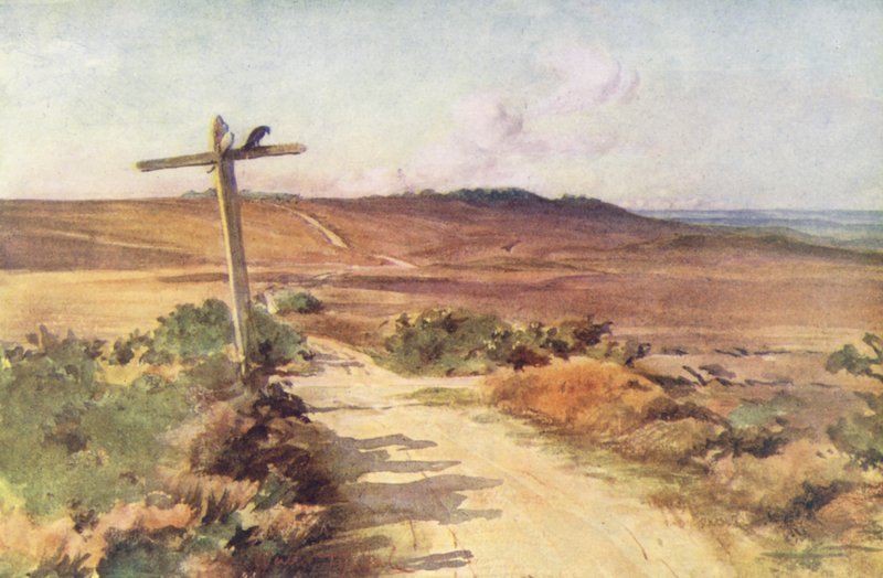 Wessex: Bere Heath in autunno, con Gallows Hill in lontananza da Walter Frederick Roofe Tyndale