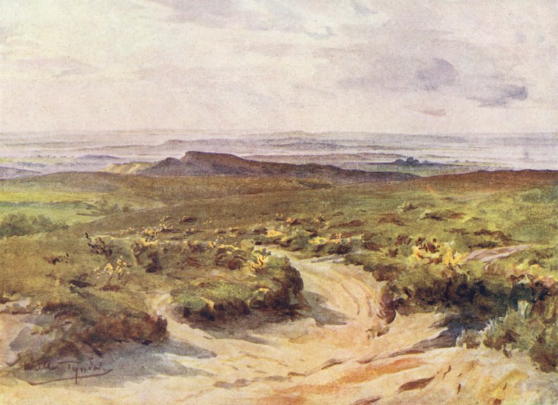Wessex: Studland Heath, Poole Harbour in lontananza da Walter Frederick Roofe Tyndale