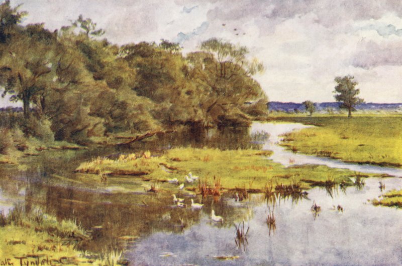 Wessex: Il Frome dal ponte di Bockhampton da Walter Frederick Roofe Tyndale