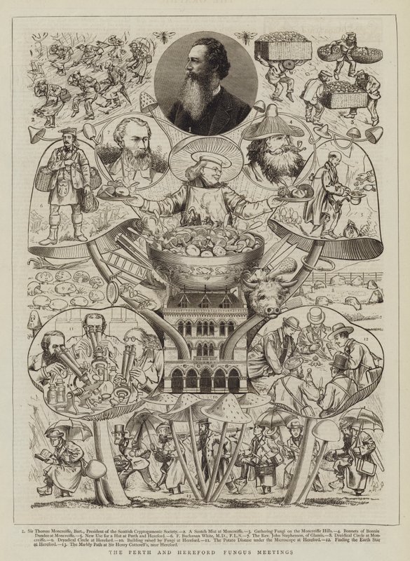 Gli incontri sui funghi di Perth e Hereford da Walter Granville Smith