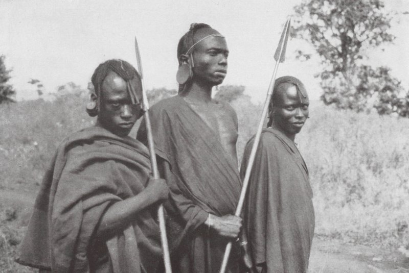 Kikuyus dall