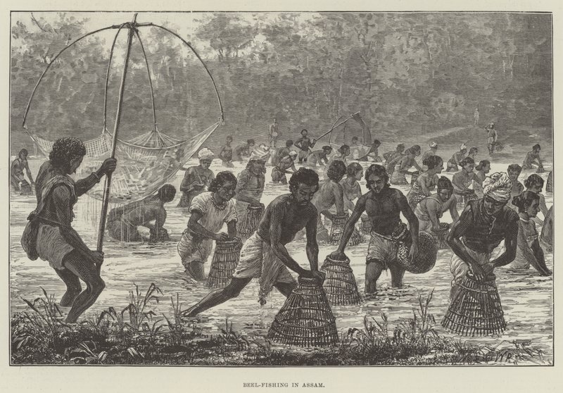 Pesca con la rete in Assam da Walter Paget