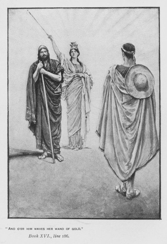 Illustrazione per l