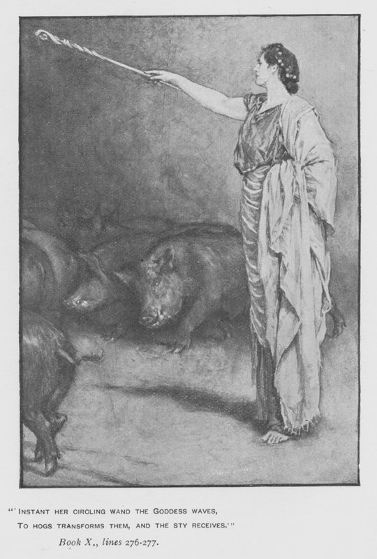 Illustrazione per l
