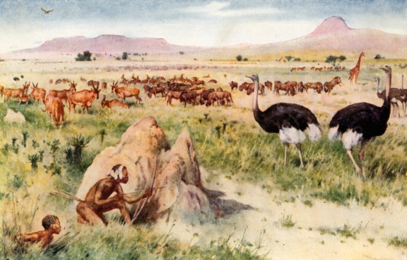 Una pianura sudafricana: prima dell