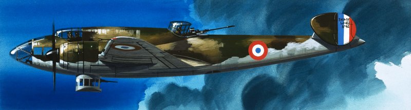 Nel blu: Aerei francesi della Seconda Guerra Mondiale da Wilf (20th century) Hardy