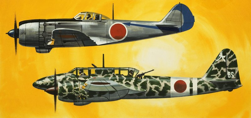 Nel blu: Aerei giapponesi della Seconda Guerra Mondiale da Wilf (20th century) Hardy