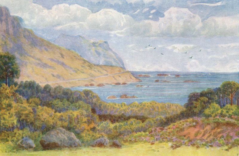 Sulla strada Victoria, vicino a Oude Kraal da Wilhelm Westhofen